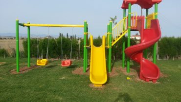 Kamelya fiyatları